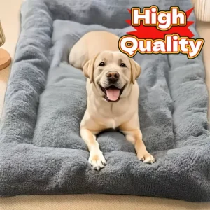 Plush Dog Bed
