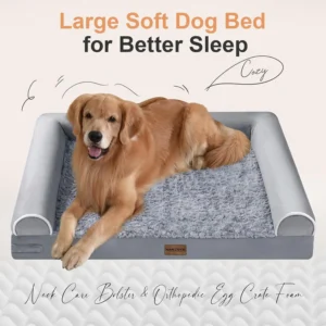 Orthopedic Dog Bed