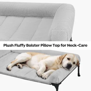 Orthopedic Dog Bed
