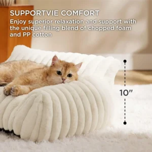 Fluffy Dog Couch