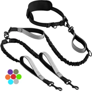 Pet Leash Two-Walking Rope