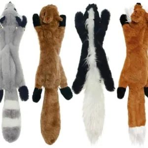 Squeaky Dog Toys