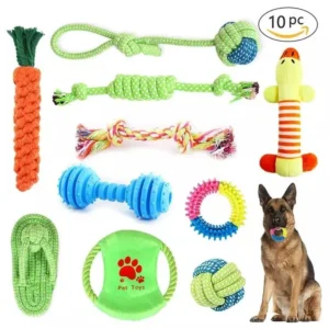 Dog Chew Toys